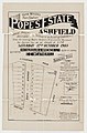 Pope's Estate, Ashfield, 1903, Richardson & Wrench, lithograph S T Leigh