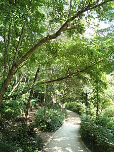 Coulée verte René-Dumont.