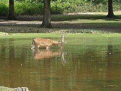 La Réserve zoologique de la Haute-Touche en 2008.