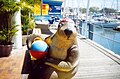 Seal scupture at the marina at UnderWater World