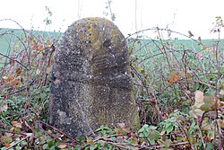 Image illustrative de l’article Statue-menhir de Monteils