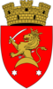 Coat of arms of Sîngerei