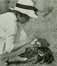 Yvette Borup Andrews, feeding a Tibetan bear cub in 1917
