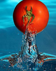 tomate émergeant de l'eau