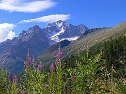 Monte Disgrazia visto dalla val Sissone.