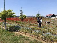 自然ふれあい生態園（安城市東端町）