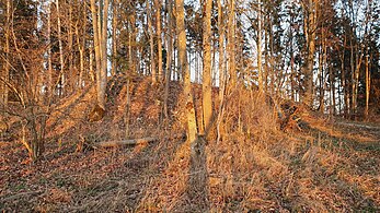 Blick von Westen auf den Kernburgbereich