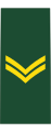 Corporal (French: Caporal) (Canadian Army)[34]