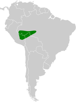 Distribución geográfica del batará de Madre de Dios.