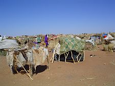 Campo de refugiados perto de Niala, devido ao Conflito de Darfur