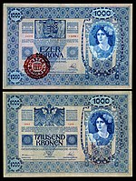 1,000 Korona (1920, using a 1902 base note)