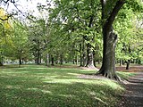 Little Hagley Park, nördlich der Harper Ave