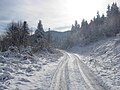 Igman The former wartime supply road