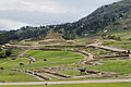 Llamas grazing in the Ingapirca ruins in Ecuador.