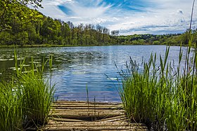 Image illustrative de l’article Lac de Viremont