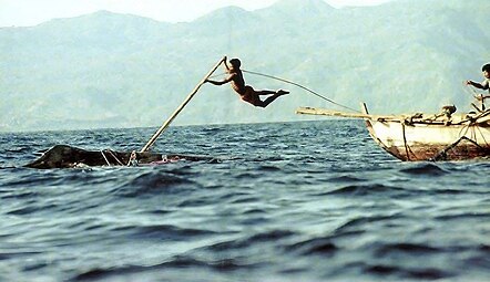A lamafa (whale-spearer) jumps from peledang boat, spearing a whale.