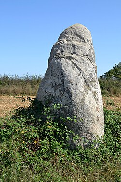 Image illustrative de l’article Menhir des Petites Jaunières