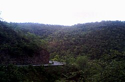 Nallamalla hills near Atmakur