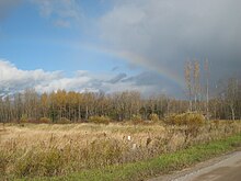 A copse or forest fronted by a field of tall, wheat-coloured grass. Grey clouds are prominent in the upper half of the image, with the azure sky visible on the left, and whiter clouds in the horizon on the left. A rainbow arcs from the copse in the lower right, through the dark clouds and then the sky, fading to the left.