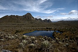 Clima de tundra alpina en el Páramo de Sumapaz