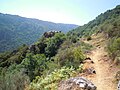 Penedo en San Lourenzo de Barxacova, lugar onde están a capela e necrópole de San Vítor de Barxacova