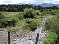 Pigeon Bush railway station 05.JPG