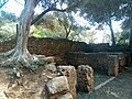 Ruines Romaines Tipaza.