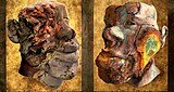 Rusty Faces, Animation Installation w/ Digital Metal prints, (2006)