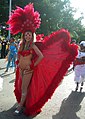 Samba Dancer