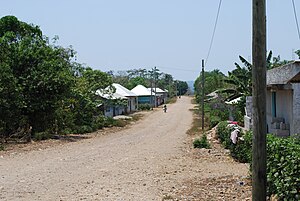 Residential street in the town