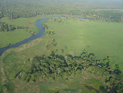 Oblique aerial photograph in South Fly District
