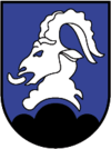 Wappen von Bürserberg