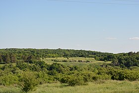 Вид на Злобовский лес