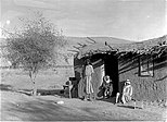 Hula bedouin 1938