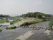 鸭川三角洲。