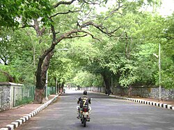 A typical road in Besant Nagar