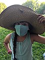 Cicada girl with hat