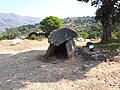 Dolmen del Cap de l'Home.