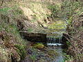 Teilgestauter Graben im Moor