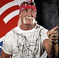 Professional wrestler Hulk Hogan