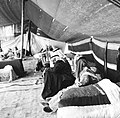 In the tent of Sheikh Faisal ibn Jasi, Howeitat tribe, Jordan, 1968.