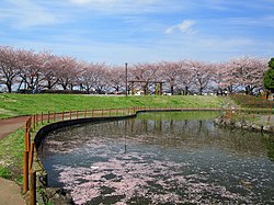 しらさぎ公園