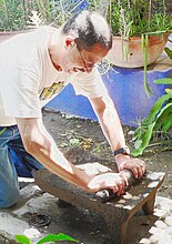 Uso di una metate messicana