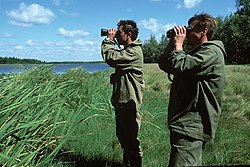 Khingansky Nature Reserve in Arkharinsky District