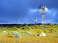 Namaqualand au Cap-Occidental.