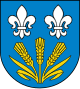 Chąśno – Stemma