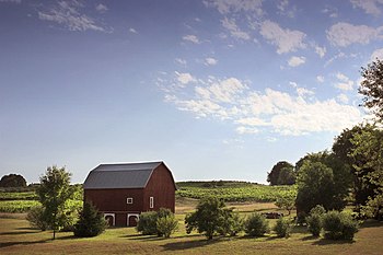 A pastoral farm scene near Traverse City, July 2005