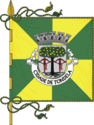 Tondela – Bandiera