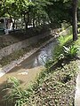 Quebrada La Guairita, estado Miranda - Venezuela.