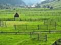 Meadows in Panaci